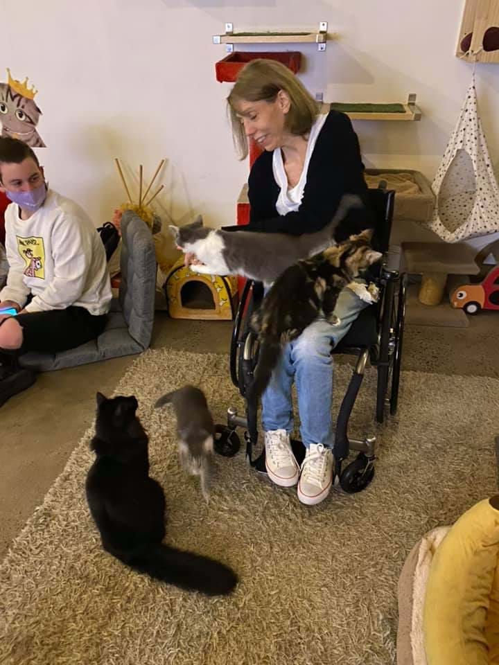 Jodi loves cats! im not sure Benson will be happy with all the new kitty smells on his mum when she gets home!